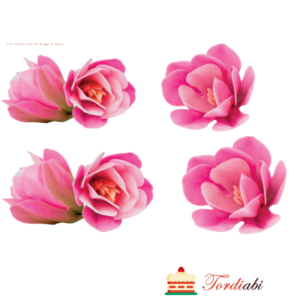 Tordiabi vahvlililled roosad magnooliad