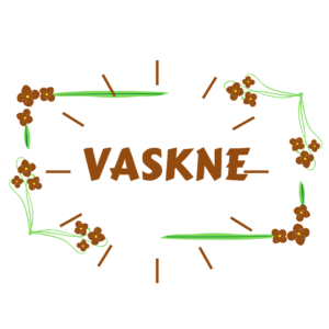 Vaskne