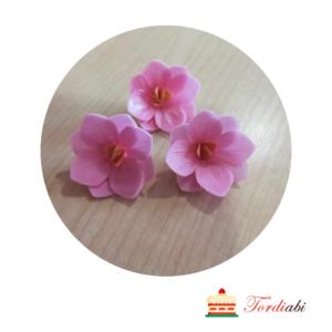 Tordiabi roosad hortensiad