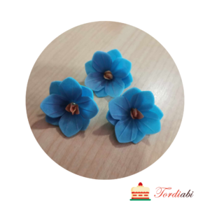Tordiabi sinised hortensiad